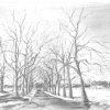 Paysage d'hiver
